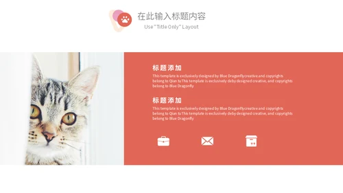 宠物乐园萌宠猫咪主题通用PPT模板