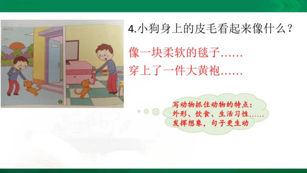 部编版二年级语文看图写话写动物课件