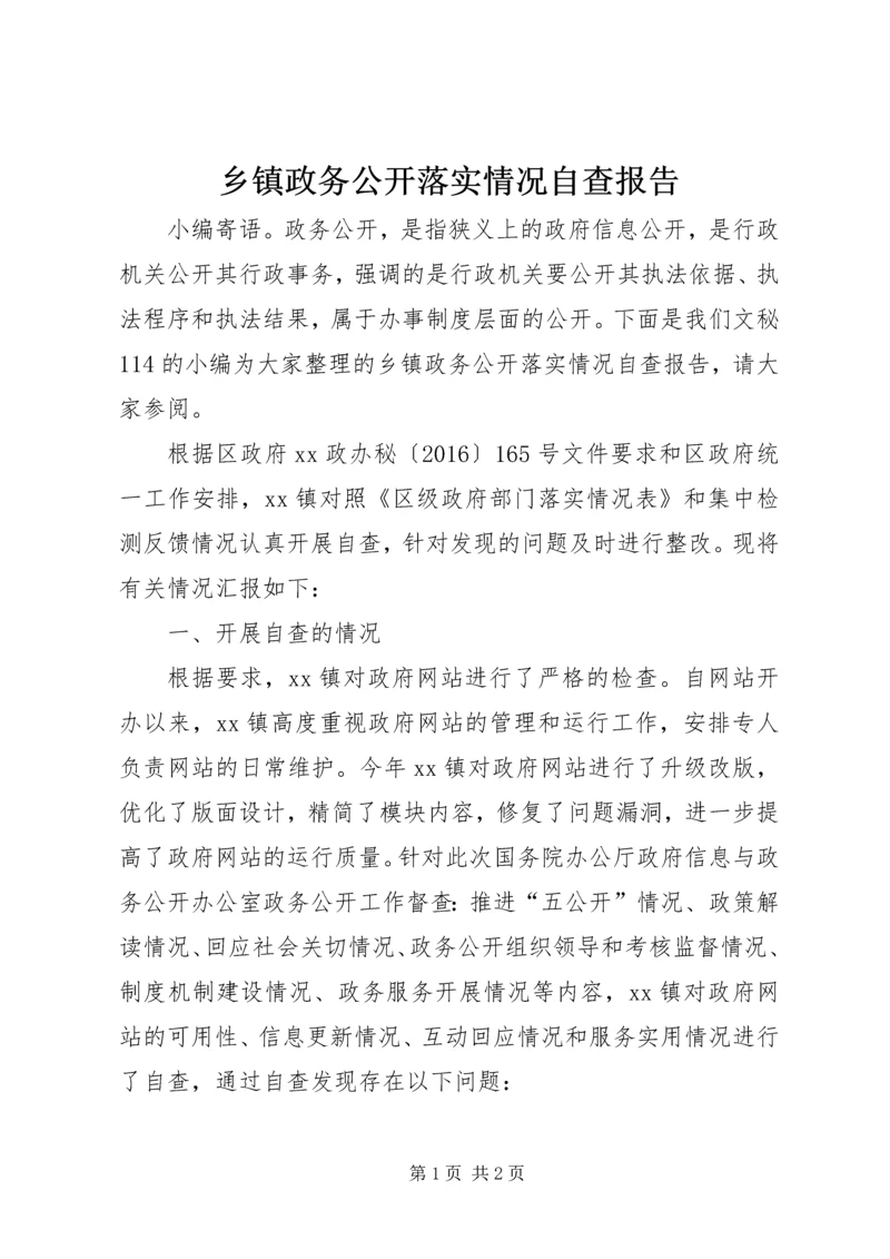 乡镇政务公开落实情况自查报告.docx