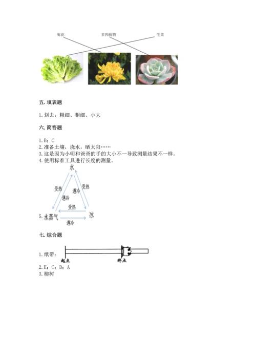 教科版一年级上册科学期末测试卷含答案（最新）.docx