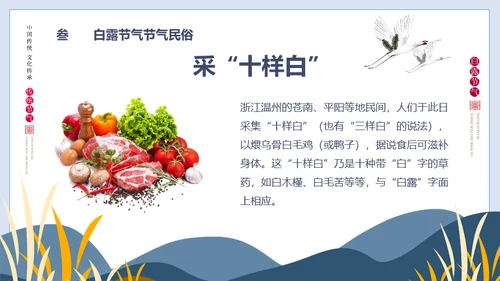 白露节气白鹤通用PPT模版
