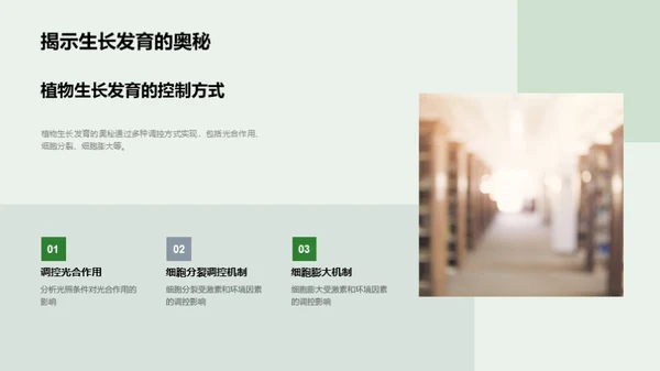 植物生长的秘密