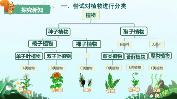 6.1.1 尝试对生物进行分类 课件（人教版）(共24张PPT)+视频素材