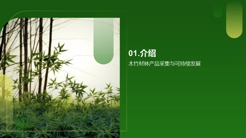 木竹绿动力