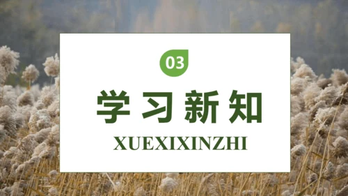 【核心素养】部编版语文四年级下册-21.芦花鞋（课件）