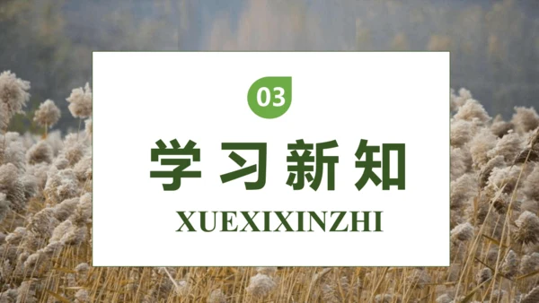 【核心素养】部编版语文四年级下册-21.芦花鞋（课件）