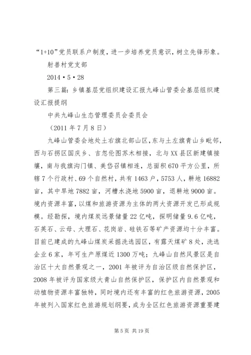 乡镇村基层党组织建设提升规划.docx