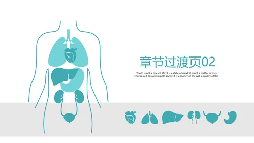 人体器官分布医学医疗ppt动态模板