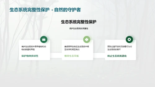 绿色林业：守护地球