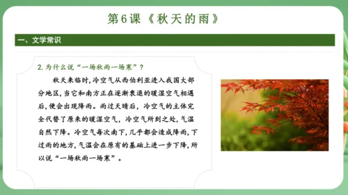 统编版2024三年级语文上册第二单元复习   课件