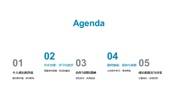 三年级：成长之路