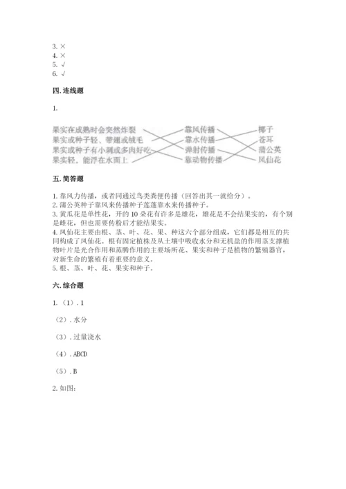 科学四年级下册第一单元植物的生长变化测试卷（考点梳理）.docx