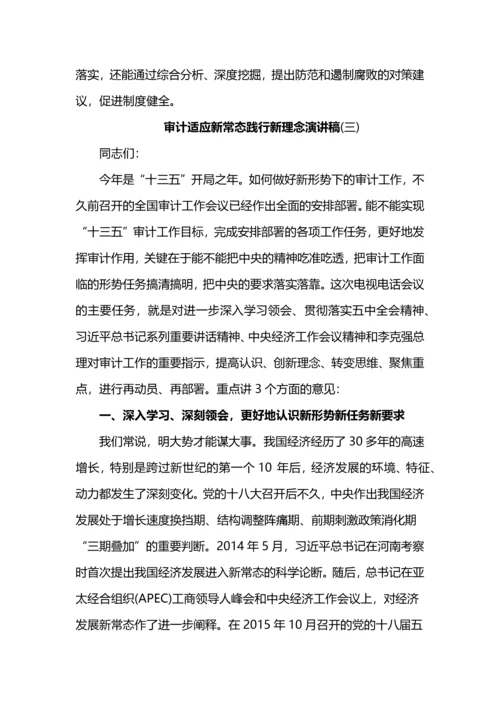 审计适应新常态践行新理念演讲稿.docx