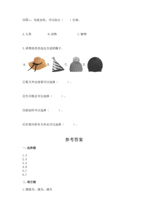 教科版科学二年级上册《期末测试卷》【考点梳理】.docx