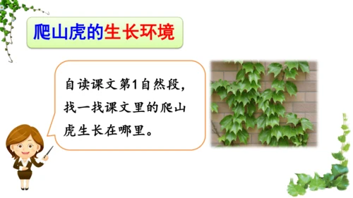 10 爬山虎的脚  课件