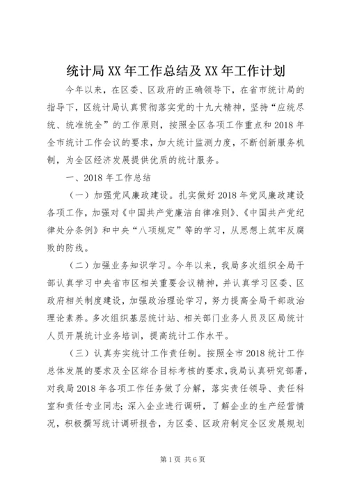 统计局XX年工作总结及XX年工作计划 (6).docx