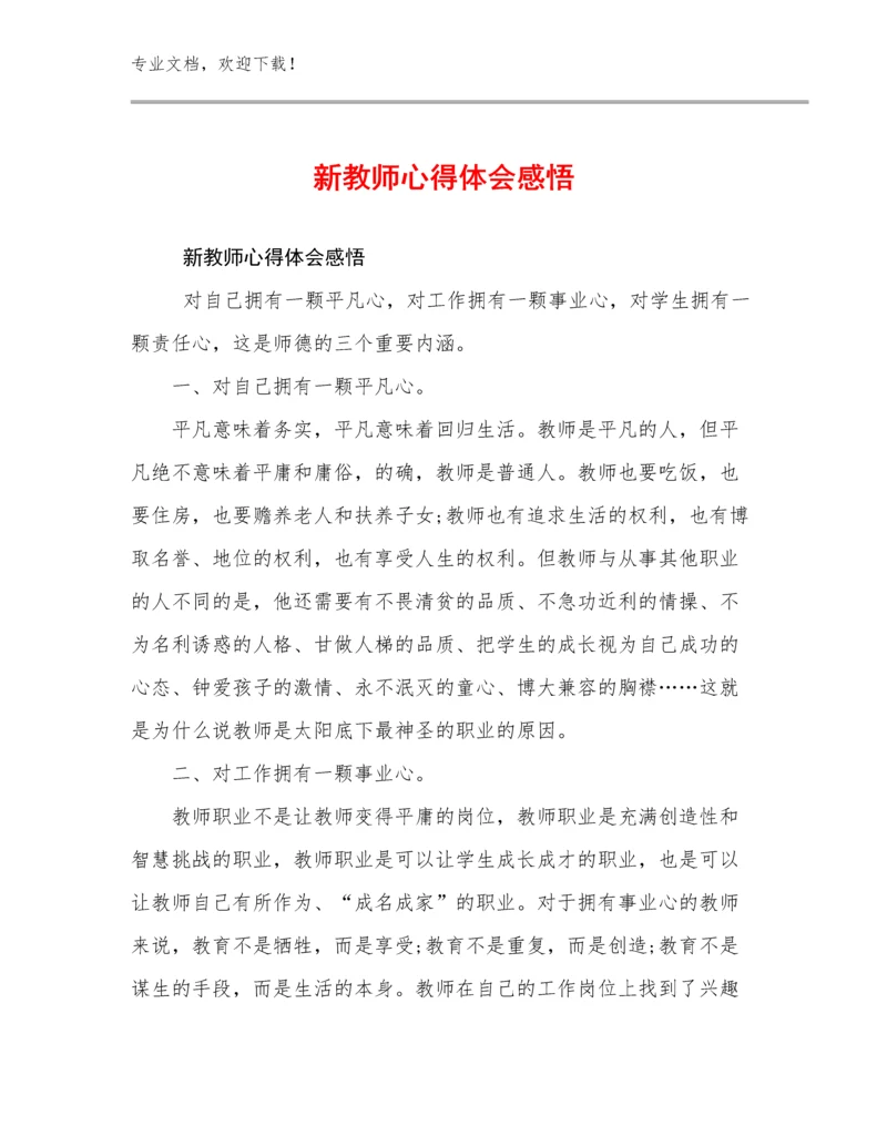 2023新教师心得体会感悟例文11篇.docx