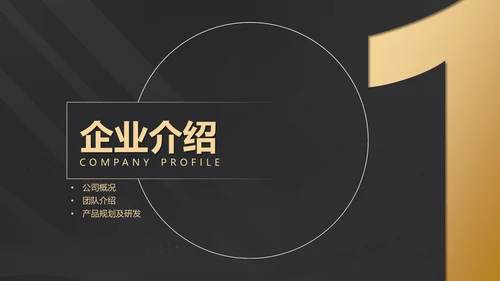 黑金质感项目战略商业计划书通用PPT模板