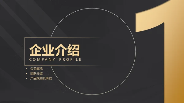 黑金质感项目战略商业计划书通用PPT模板