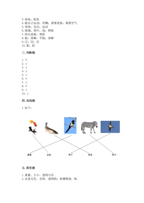 教科版一年级下册科学期末测试卷带答案（b卷）.docx