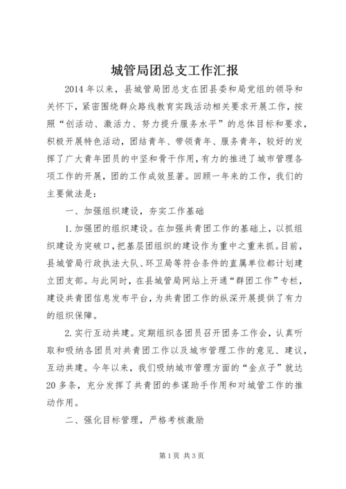 城管局团总支工作汇报.docx