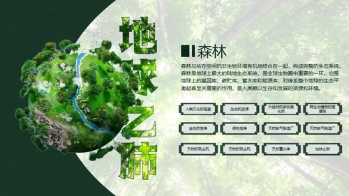 植树节认识森林保护森林主题教育通用PPT模板