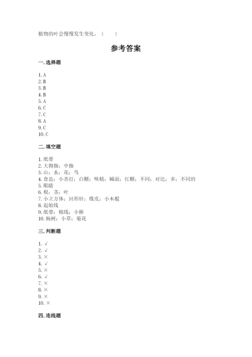 教科版一年级上册科学期末测试卷精品（完整版）.docx