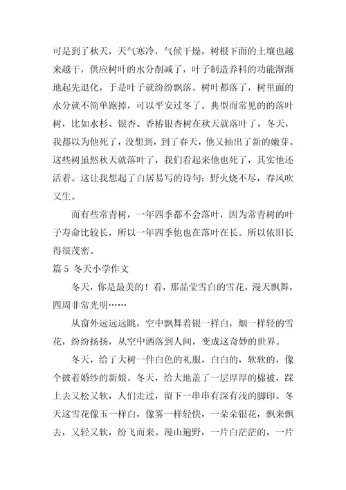 2024年最新乡村的冬天小学作文500字篇