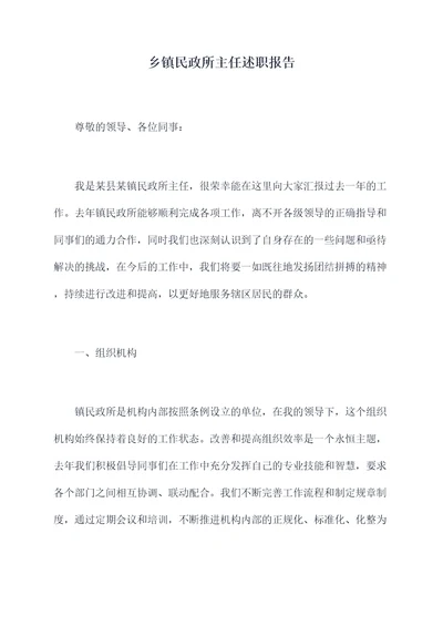 乡镇民政所主任述职报告