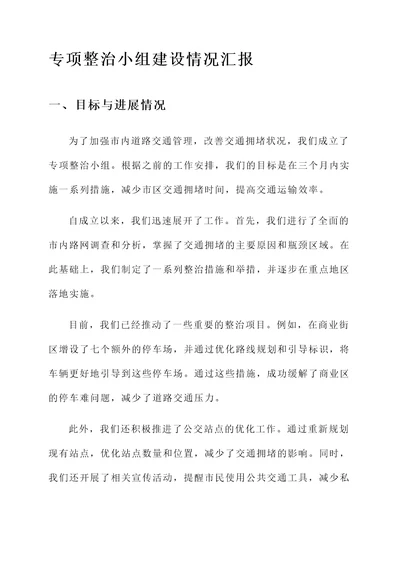 专项整治小组建设情况汇报