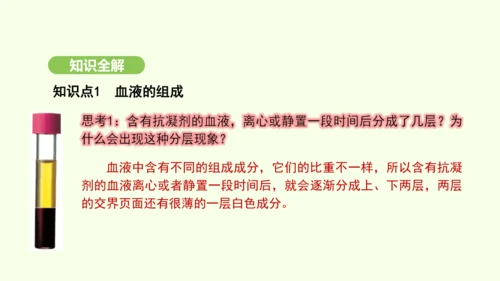 第四单元-第四章-第一节-流动的组织——血液课件-2024-2025学年七年级生物下学期人教版(20