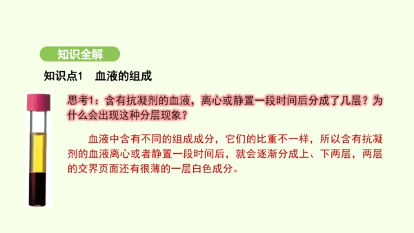第四单元-第四章-第一节-流动的组织——血液课件-2024-2025学年七年级生物下学期人教版(20