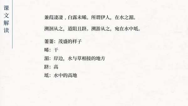 蒹葭PPT模板