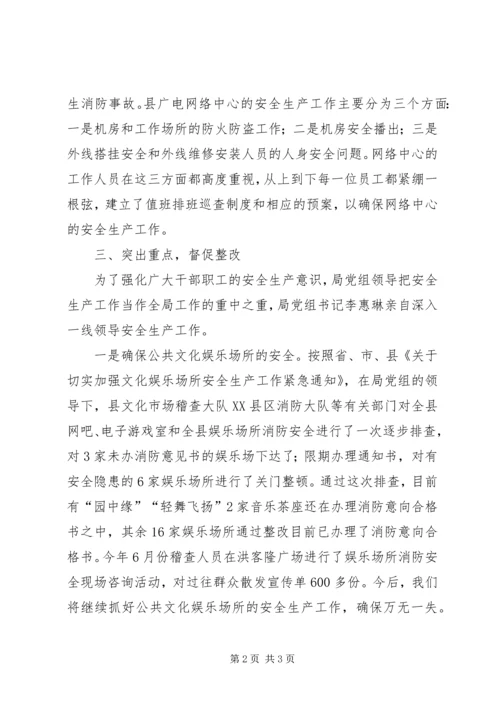 县文广局安全生产情况汇报材料 (3).docx