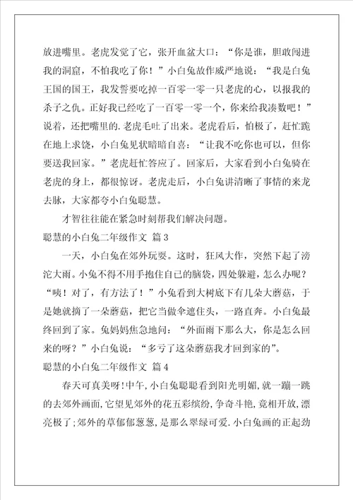 聪明的小白兔二年级作文