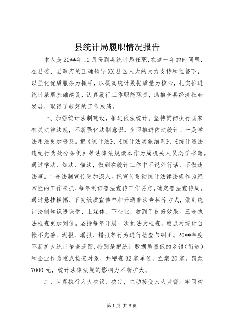 县统计局履职情况报告.docx