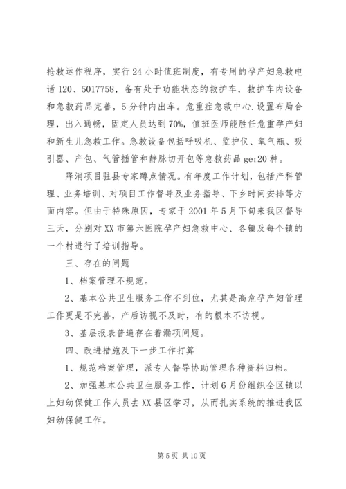 妇幼卫生自查报告 (2).docx