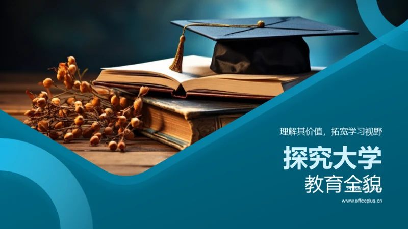 探究大学教育全貌