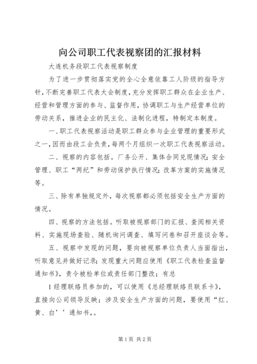 向公司职工代表视察团的汇报材料 (4).docx