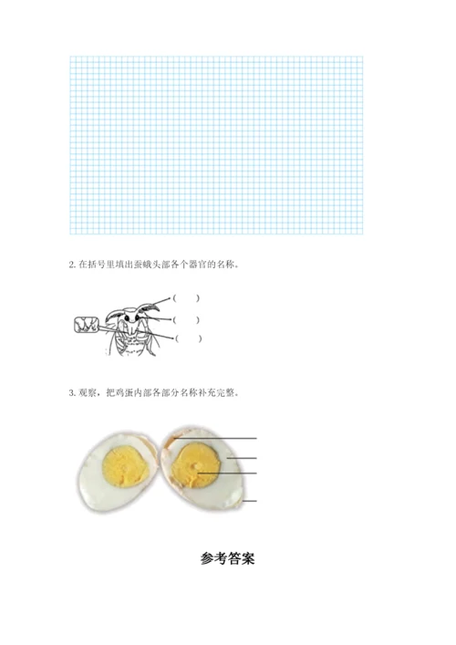 教科版小学科学三年级下册期末测试卷新版.docx