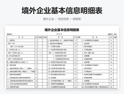 境外企业基本信息明细表