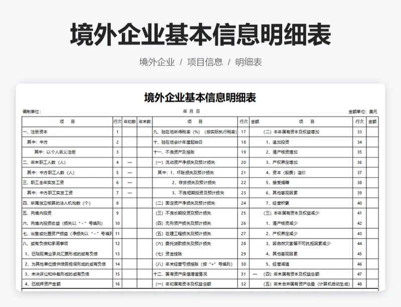 境外企业基本信息明细表
