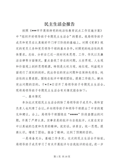 民主生活会报告 (13).docx