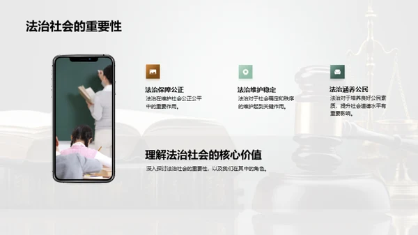 法治社会深度解析