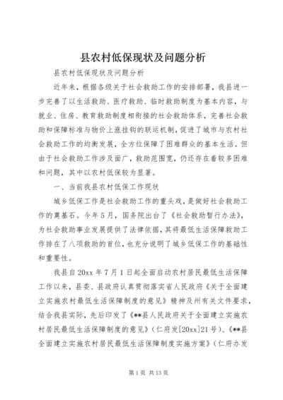 县农村低保现状及问题分析.docx