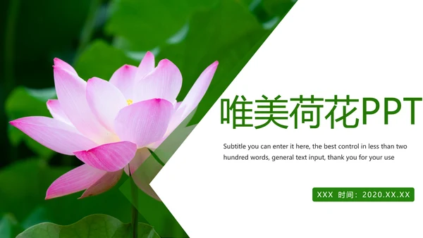 绿色唯美荷花廉政工作总结汇报PPT模板