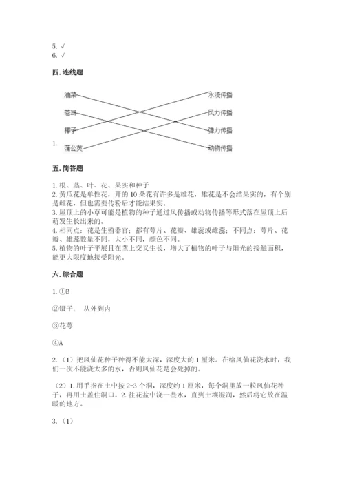 教科版科学四年级下册第一单元《植物的生长变化》测试卷（考点精练）.docx