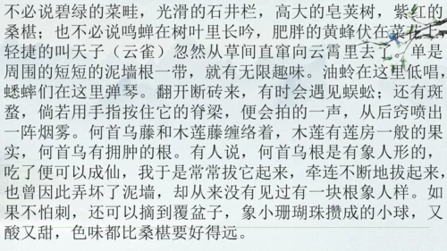 9《从百草园到三味书屋》课件(共33张PPT)2024-2025学年统编版语文七年级上册