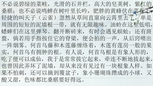 9《从百草园到三味书屋》课件(共33张PPT)2024-2025学年统编版语文七年级上册