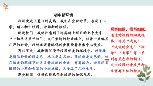 七年级语文上册第一单元 写作  热爱写作，学会观察 课件